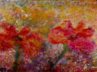 /album/galleria-fotografica/immagine-003-jpg/